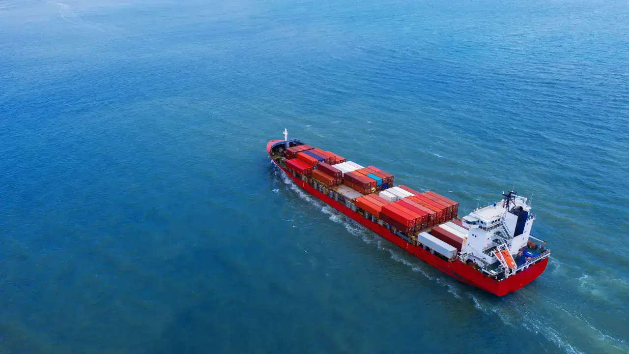 sea freight cargo import and export