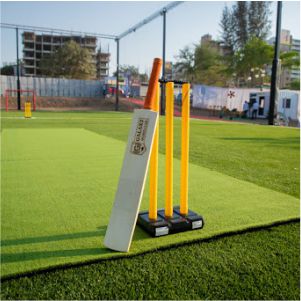 cricket